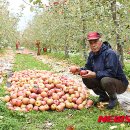 정병수농장 이미지