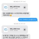 꼬마애견샵 | 진주애견미용잘하는곳 충무공동 몽실살롱에서 강아지 애견미용 스파하고 온 후기