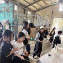 트리니티 태권도 | <동아 트리니티 태권도> 밀양 농촌 체험 후기