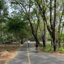 거북이 자동차정비 이미지