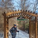 치악산둘레길 9코스 자작나무길 | 치악산 둘레길 9코스(자작나무길, 자작나무 가로수가 있는 풍광 좋은 트레일)