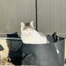 (주)중앙공업사 | 2025.12.15(월) ~ 2025.12.21(일) - 차 고침 ㅜ