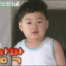 만세낙지 이미지
