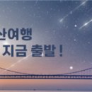 채널세븐 이미지