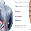 정직한 FIT 이미지
