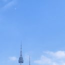 리본국제결혼