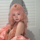 리즈컬러 이미지