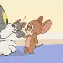 톰 이미지