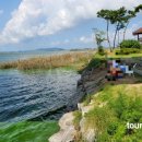 당나루물꽃승마마을 이미지