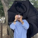 골든 피티 이미지