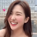 카메라를 쫓아오는 귀여운 생물체 이미지