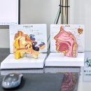 바른숨이비인후과의원 이미지