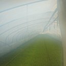 장훈농장 이미지