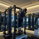 랩 지피티짐 이미지