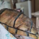 세교엘약국 이미지