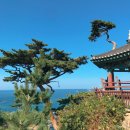 동해대로3-L 이미지