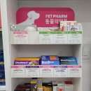 동백온누리약국 이미지