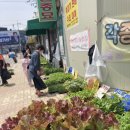 자선종묘사 네이버블로그
