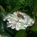 목원농장 이미지