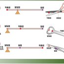 바디템플 휘트니스 이미지