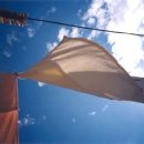 주부세탁 이미지