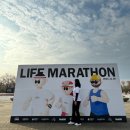 [하이사장] 2023 서울 라이프 마라톤 후기 (5km) 🥹