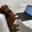 대정PC | 여행에서 생긴일 / 에티하드 지연 보상금 600유로 받은 후기 1탄 (+카카오페이 여행자보험 실비 청구 방법)