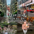 [홍콩] &#39;홍콩 6박 7일 여행 6일차 코스&#39; 익청빌딩, 셩완 맛집, 셩완 카페, 침사추이 구룡 공원, 홍콩...