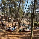 전북특별자치도 익산시 성당면 갈산리 400-2 | 전주 근교 아이랑 주말 나들이, 익산 신흥공원 숲놀이터 이용 꿀팁