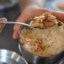 세화탐나는도새기