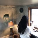 UR(서귀포시)-[표선중앙로110번길]-상-5 | 11월 겨울 제주여행 코스 2편(표선해수욕장, 당케올레국수, 함덕해수욕장, 카페구할구, 제주레일바이크...