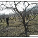 남일농장 이미지