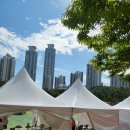 동탄센트럴파크 축구장 이미지