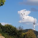 키즈태권도 이미지