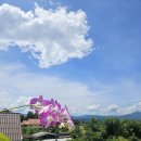 일출언덕신산게스트하우스 | 250913- 20 빠이,치앙마이 여행기-End