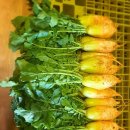 뽑고 또 뽑기 이미지