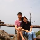 맹장호 Daum카페