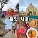 중부화훼 | [베트남 ep.25] 달랏 시내 쑤언흐엉호수 오토바이렌트 나혼자산다 팜유 베트남한달살기