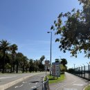 모나코 | 신혼여행 첫날, 모나코 그랑프리 2025 후기 티켓없이 경기직관하기!