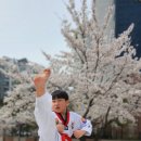 봄날태권도 이미지