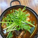 칠십리 음식 특화거리 | 방송 출연한 서귀포 횟집 나운터 부채새우 코스 최고예요