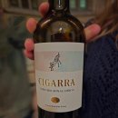 시가라(CIGARRA)