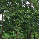 감자공인중개사사무소 이미지