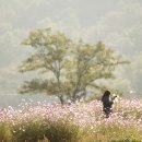 읍성경로당 이미지