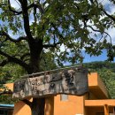 백암농원 이미지