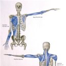 루이스타 휘트니스 이미지