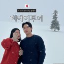 삿포로 비에이투어 하루하루투어 여행사 후기 추천 (크리스마스트리, 탁신관 자작나무 숲, 준페이...