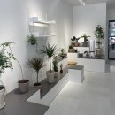 (원데이) 그린 플랜트 이미지