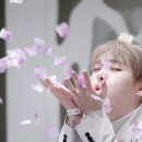 솔로아트 이미지