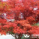 조경설계서림